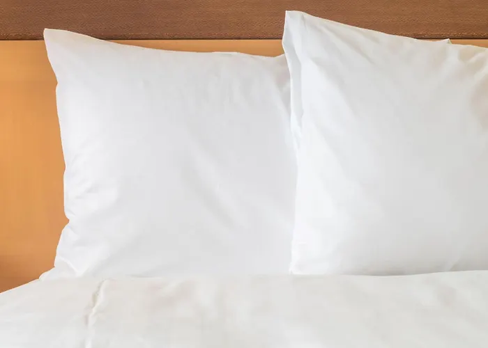 Express By Ihg Hotel Arnhem